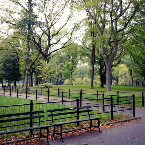 Jenny in Jacquard; NYC fashion blogger; style blog; Instagram; NYC; Central Park
