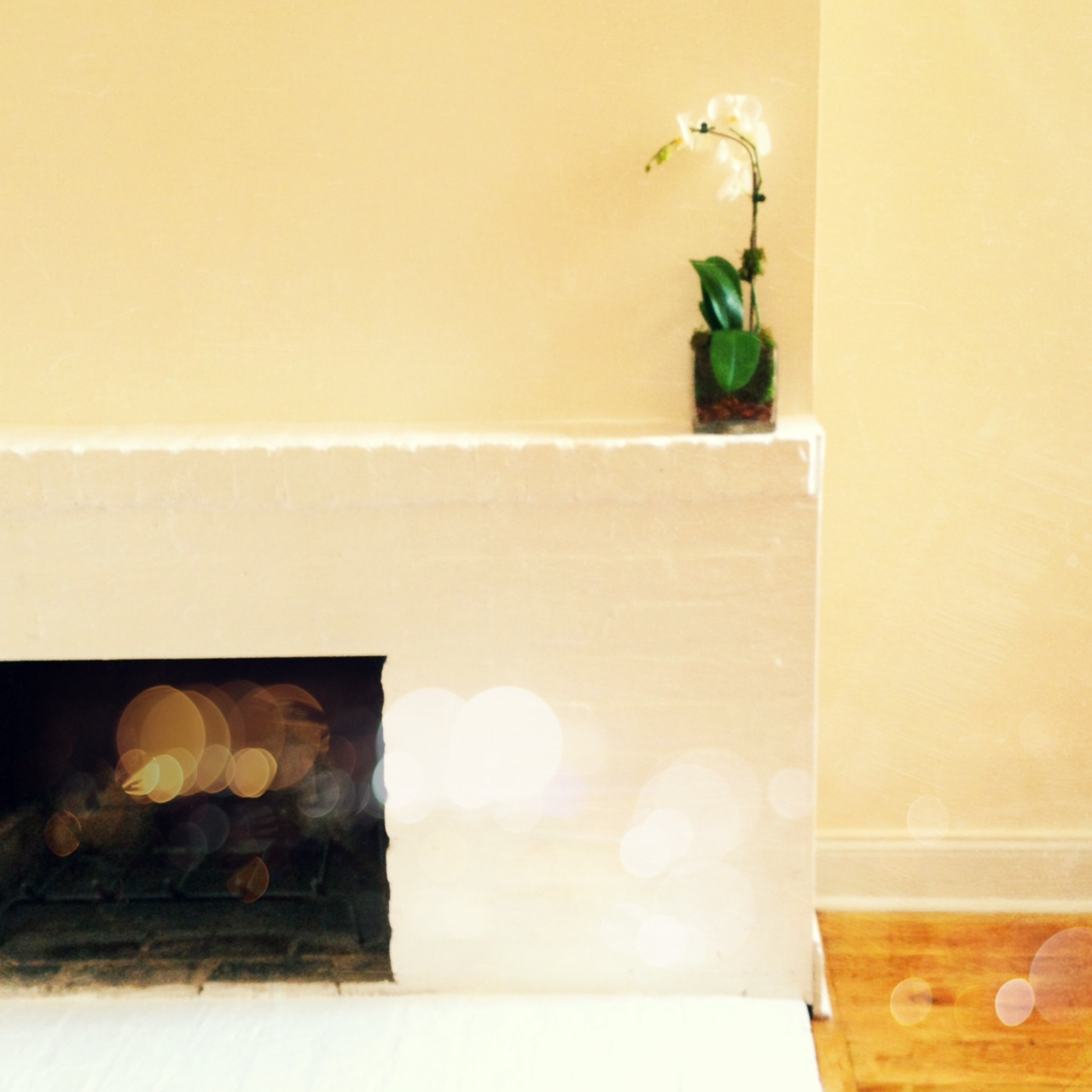 Jenny in Jacquard; NYC fashion blogger; style blog; home decor; NYC walk up apartment; Instagram; 1 BR