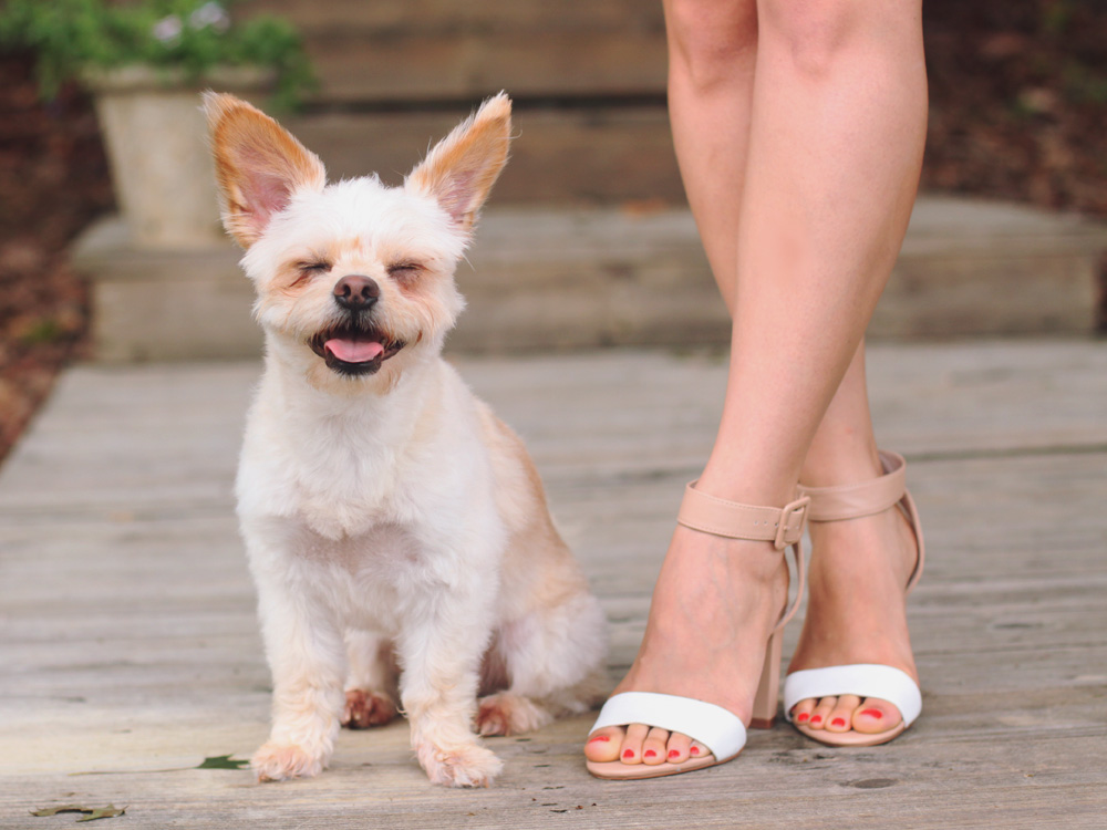 Skirt The Rules Blog; NYC fashion blogger; style blog; summer outfit photos; Gentle Fawn Citizen peach sky pastel tank; Express white flare skirt; Banana Republic sparkle stone white statement necklace;  Coach Legacy Leather Large Wristlet; J.Crew turquoise stretch bracelet; Derng rosegold pave link bracelet; Zara white beige colorblock heel