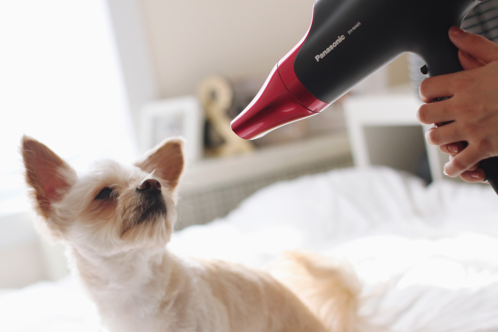 Panasonic Nanoe Hair Dryer