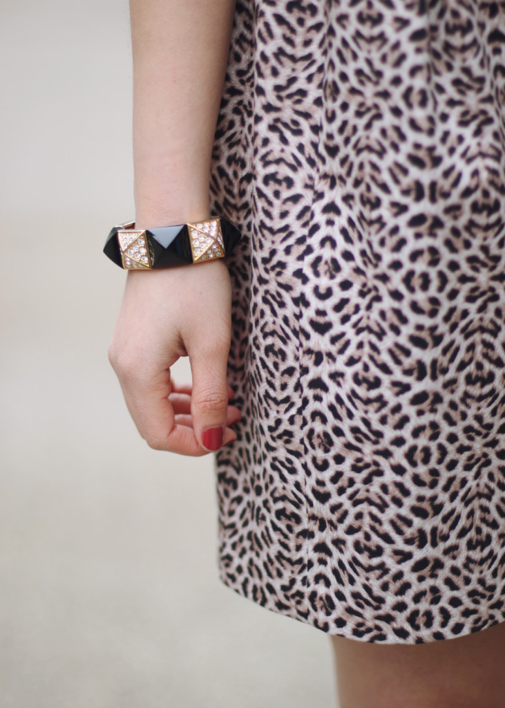 Leopard Print Dress