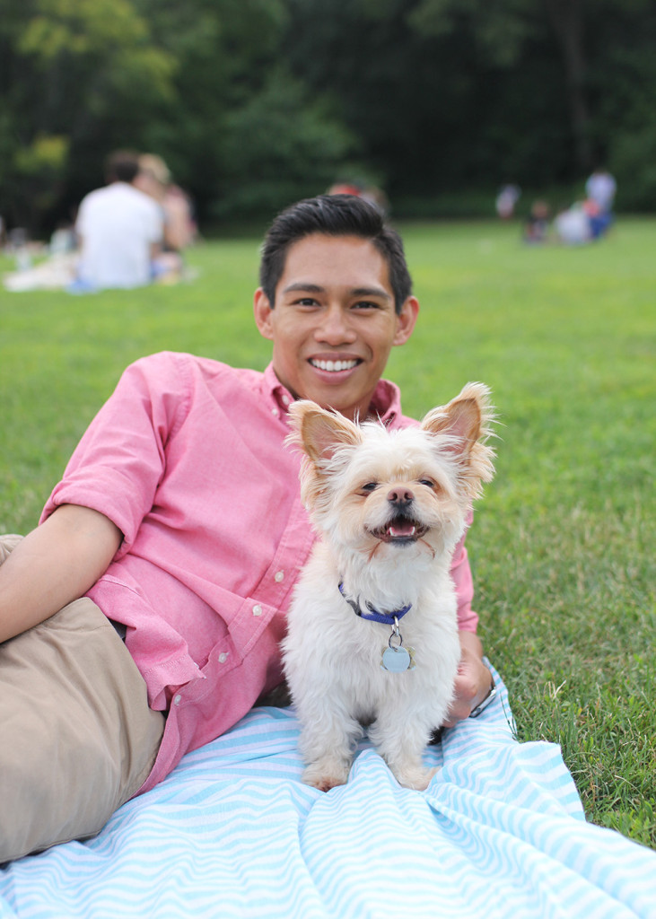 Skirt The Rules // Chihuahua Yorkie Mix