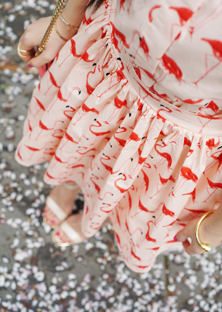 Skirt The Rules / Flamingo Print Dress