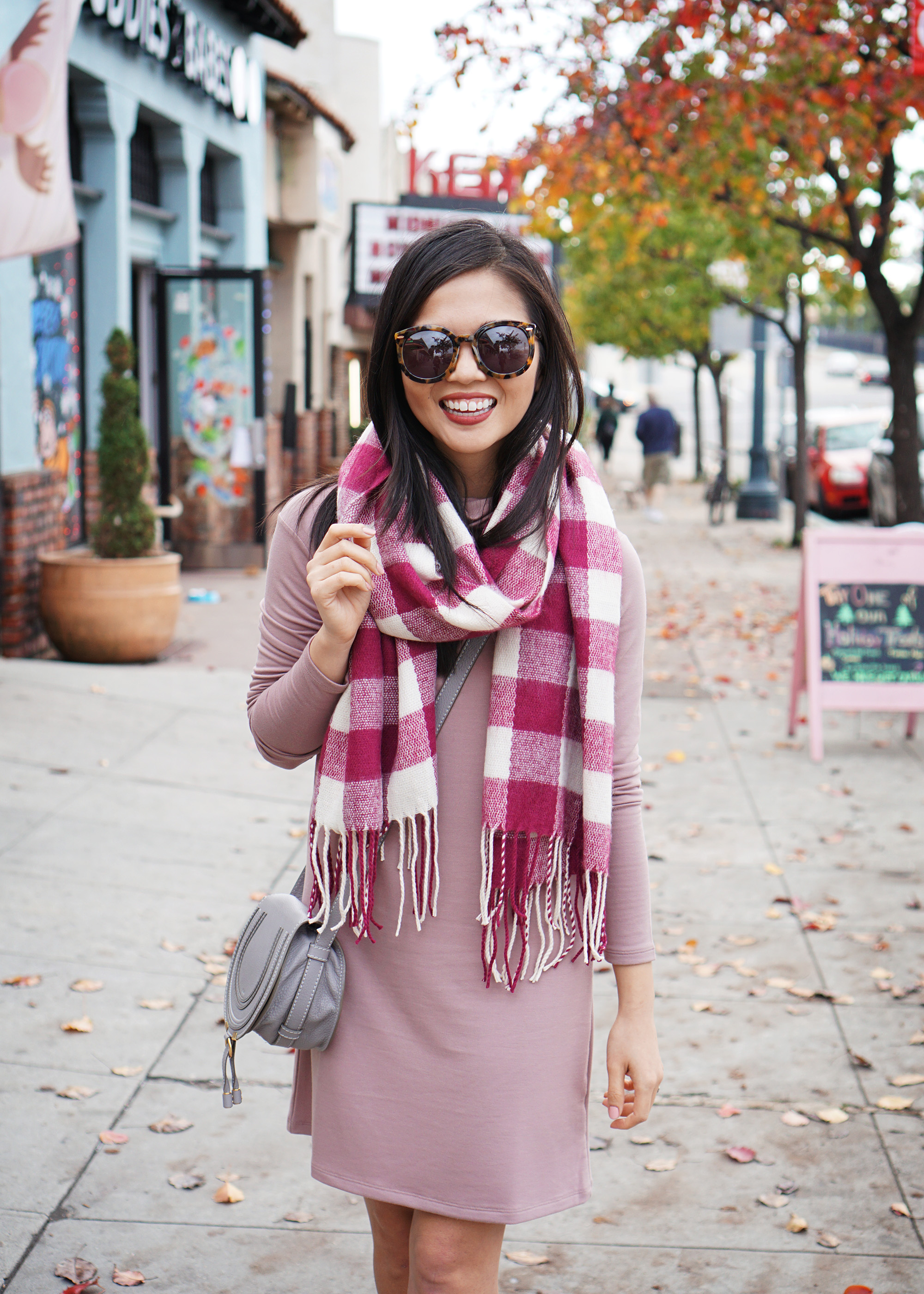 Pale Pink Long Sleeve Dress & Plaid Scarf