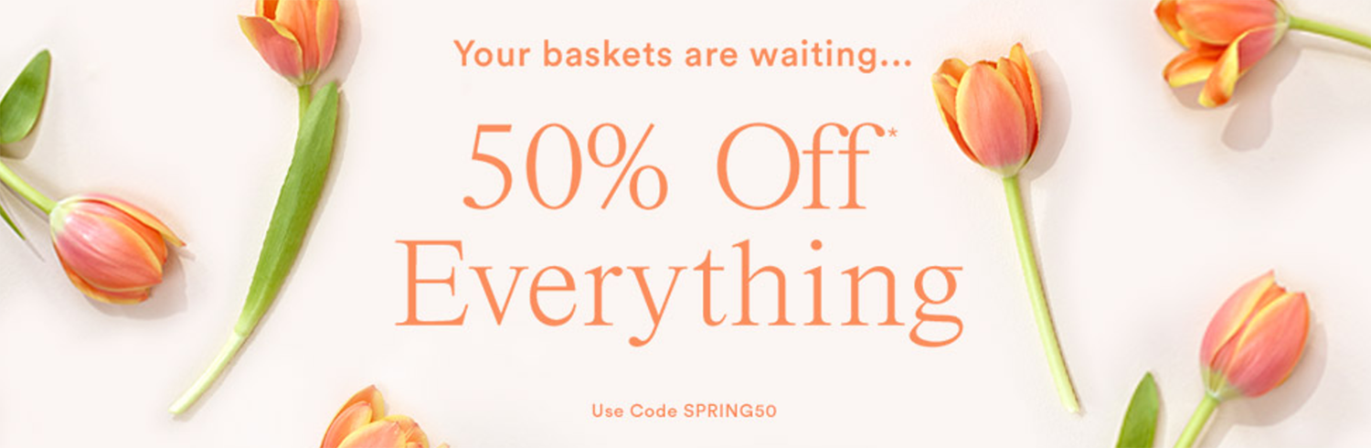 Ann Taylor 50% off Everything