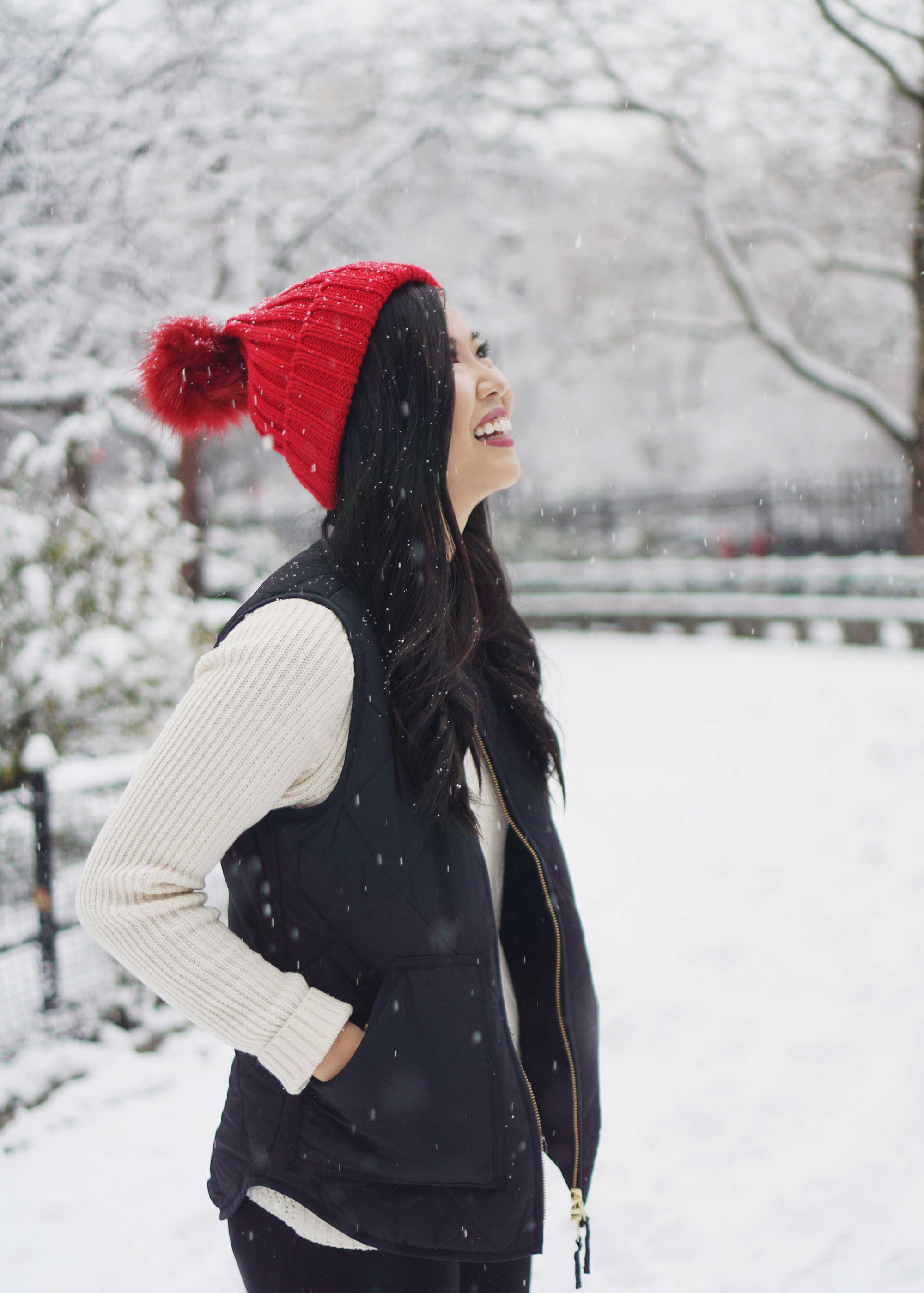 First Snow in NYC 2017